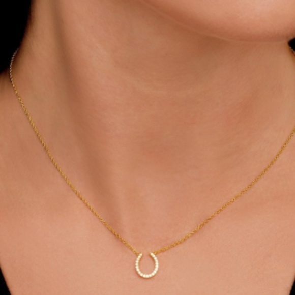 Jewelry - Sugar Bean Jewelry Rose Gold Horseshoe Necklace